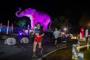 BIB: 
                            <button type="button" onclick="openModal(26552386)" class="btn btn-primary btn-sm float-right btn-popup" data-toggle="modal" data-target=".modal-high-quality">
                        <i class="fas fa-shopping-cart"></i> Add to Cart
                    </button>
                                            <button type="button" onclick="isThisMe(26552386, true)" class="btn btn-success btn-sm float-right btn-popup btn-isme hidden" data-toggle="tooltip" data-placement="bottom" title="นี่คือรูปของคุณใช่ไหม คลิกที่นี่เพื่อเอาเข้าอัลบั้ม">
                        <i class="fas fa-plus"></i> Add to album
                    </button>
                    <button type="button" onclick="isThisMe(26552386, false)" class="btn btn-warning btn-sm float-right btn-popup btn-isnotme hidden">
                        <i class="fas fa-ban"></i> Remove from album
                    </button>